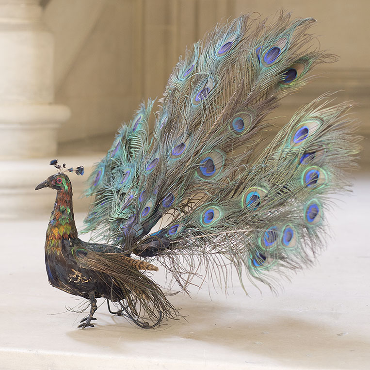 ANTIQUE FRENCH AUTOMATON PEACOCK